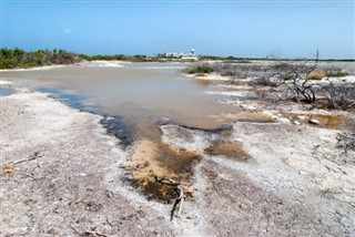 Turks and Caicos Islands weather forecast