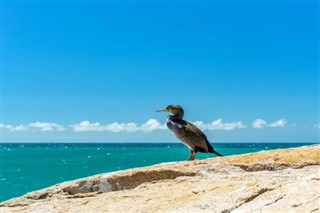 Tuvalu weather forecast