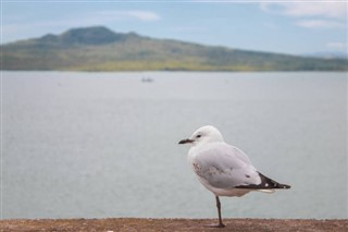 Tuvalu weather forecast