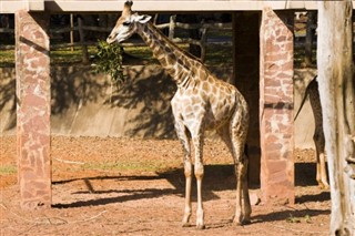 Uganda pronóstico del tiempo