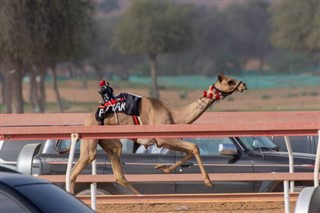 Emiratos Árabes Unidos pronóstico del tiempo