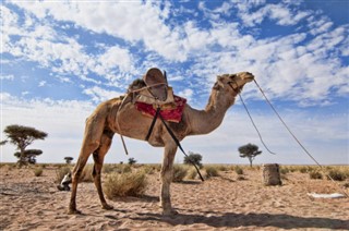 Ujedinjeni Arapski Emirati vremenska prognoza