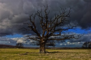 United Kingdom weather forecast