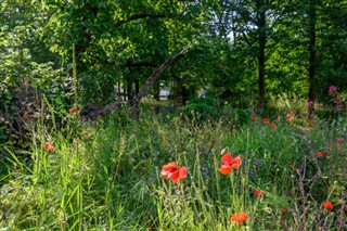 United Kingdom weather forecast