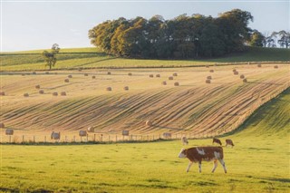 United Kingdom weather forecast