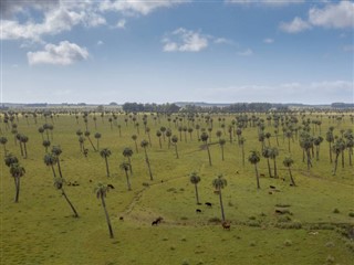 Uruguay weather forecast