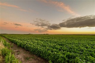 Uruguay weather forecast