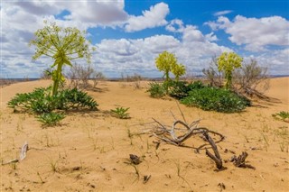 Uzbekistan weather forecast