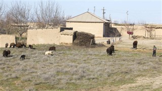 Uzbekistan weather forecast