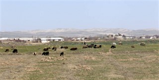 Uzbekistán pronóstico del tiempo