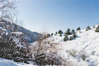 Uzbekistan weather forecast