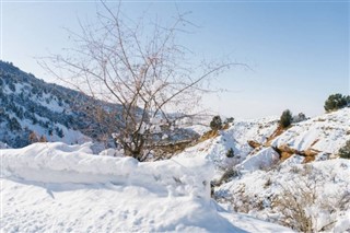 Uzbekistan weather forecast