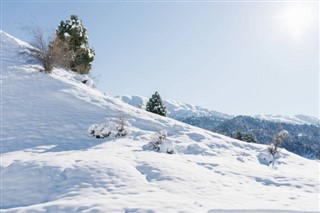 Uzbekistan weather forecast