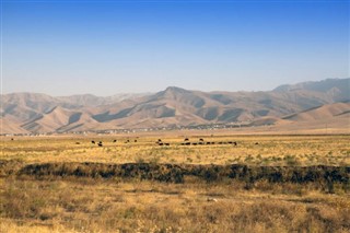 Uzbekistan weather forecast