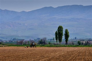 Uzbekistan weather forecast