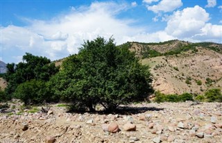 Uzbekistan weather forecast