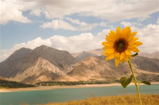 Uzbekistan weather forecast