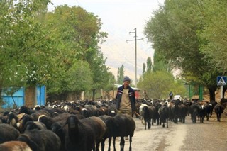 Uzbekistan weather forecast