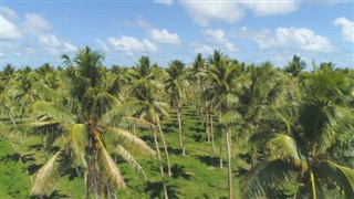 Vanuatu weather forecast