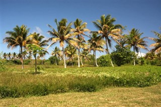 Vanuatu weather forecast