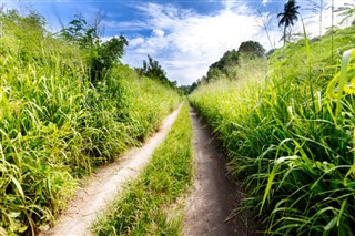 Vanuatu weather forecast