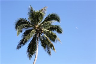 Vanuatu weather forecast