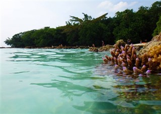 Vanuatu weather forecast