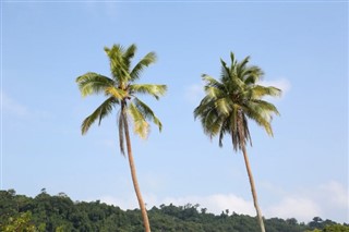 Vanuatu weather forecast