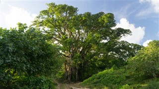 Vanuatu weather forecast