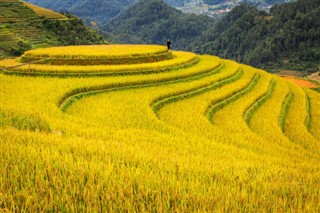 Vietnam weather forecast