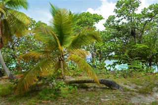 Virgin Islands weather forecast