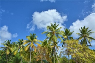 Virgin Islands weather forecast