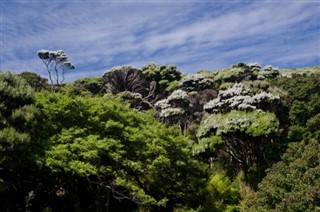 Wallis and Futuna weather forecast