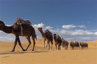 Western Sahara weather forecast