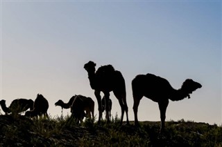 Sahara Occidental pronóstico del tiempo