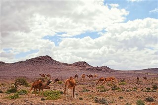 Western Sahara weather forecast