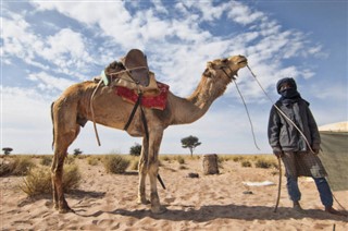 Western Sahara weather forecast