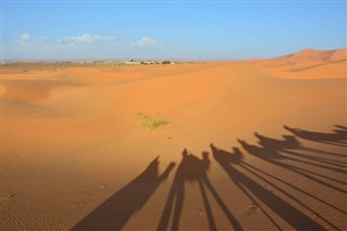 Western Sahara weather forecast