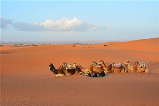 Western Sahara weather forecast