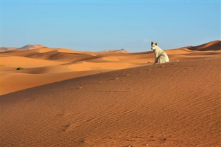 Zapadna Sahara vremenska prognoza