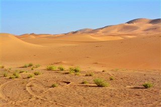 Western Sahara weather forecast