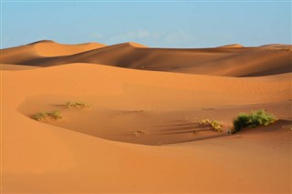 Western Sahara weather forecast