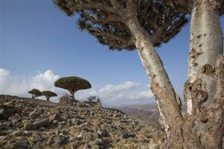 Yemen weather forecast