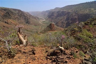 Yemen weather forecast