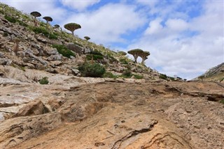 Yemen weather forecast