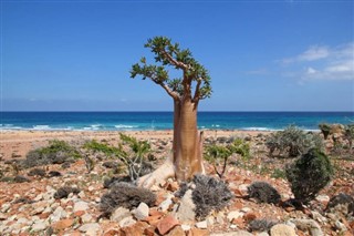 Yemen weather forecast