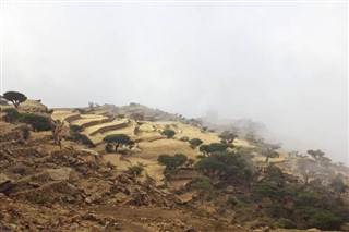 Yemen pronóstico del tiempo