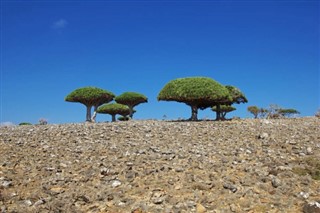 Yemen weather forecast