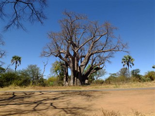 Zambia weather forecast