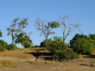 Zambia weather forecast